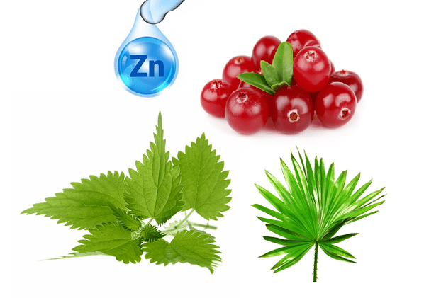 A composición das cápsulas Uromexil Forte