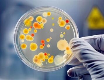 As bacterias poden causar prostatite crónica