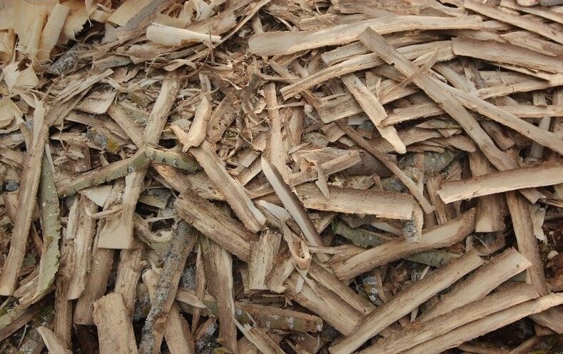 casca de álamo para a prostatite