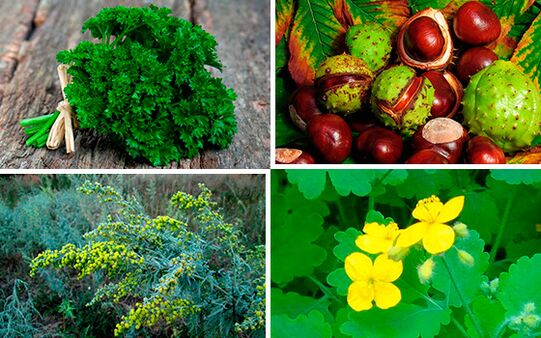 herbas para o tratamento da prostatite